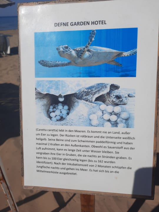 Strand Hotel Defne Garden