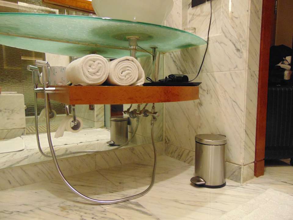 Zimmer Hotel Hyatt Regency Delhi