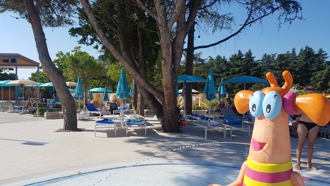 Pool Valamar Parentino Hotel