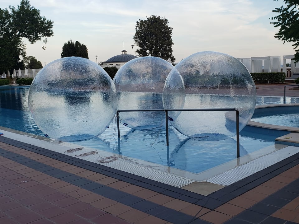 Pool Sunny Dream Family Apartment