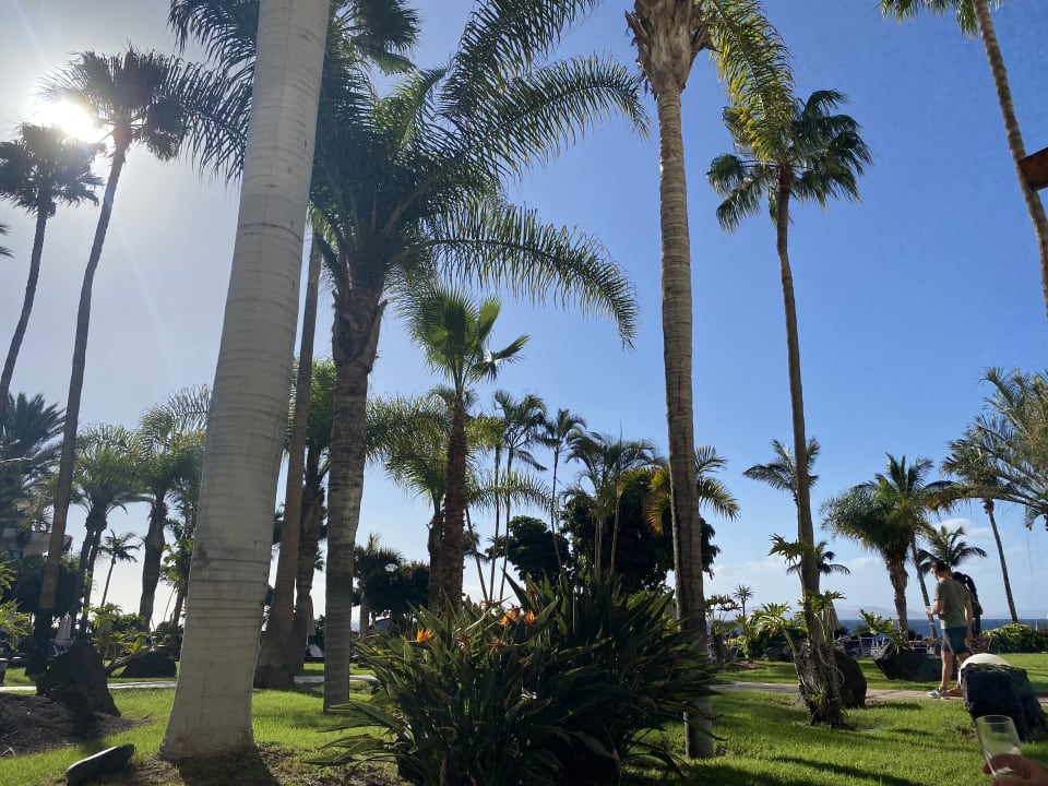 Gartenanlage Hipotels Natura Palace