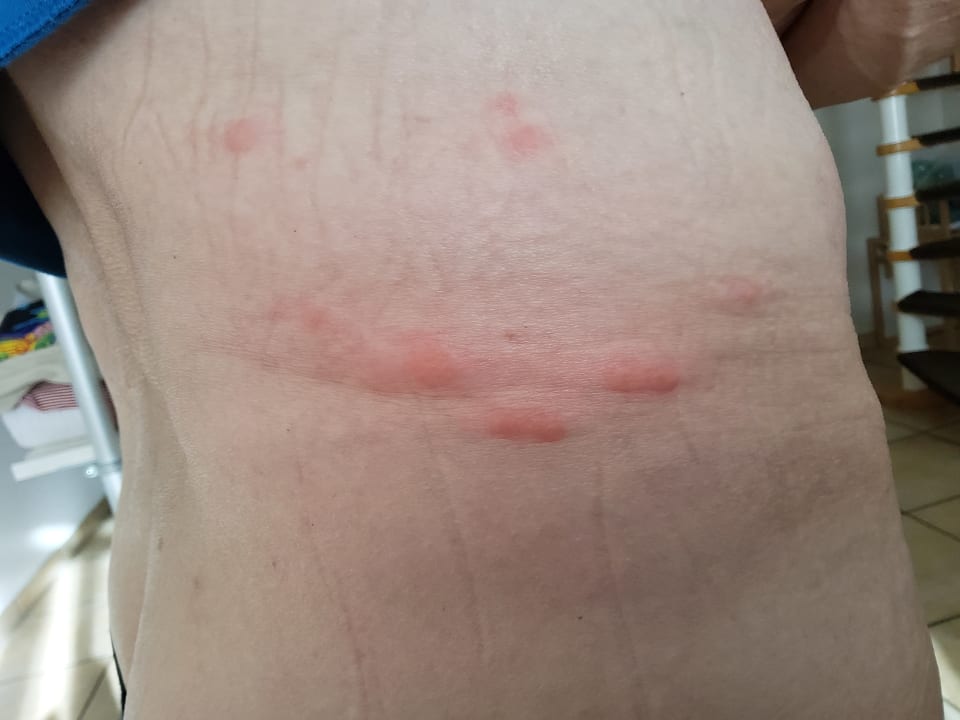 Strand Apartmenthaus Miramare