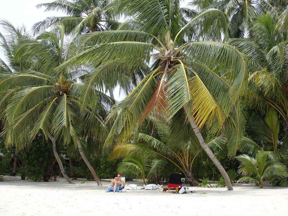 Strandabschnitt Cottage Kuramathi Maldives