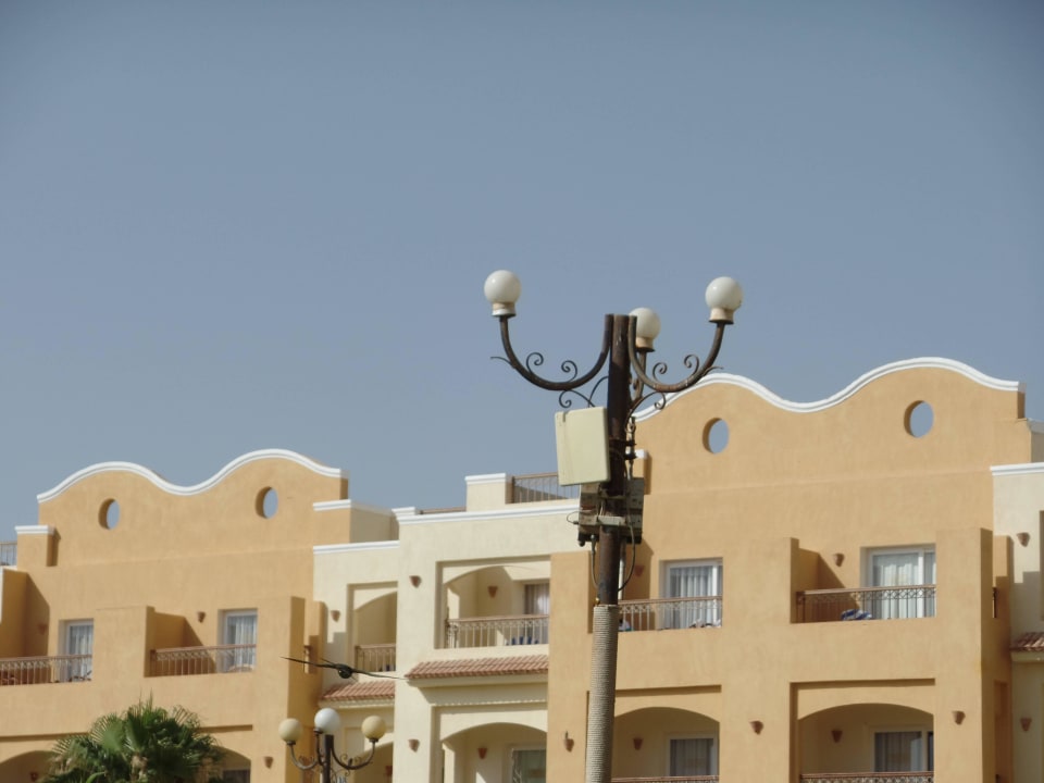 Gepflegter Garten mit vielen Vögeln Steigenberger Coraya Beach - Adults only