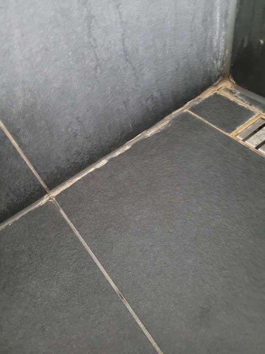 Zimmer Center Parcs Park Allgäu