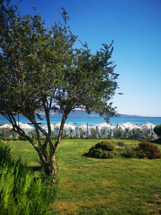 Ausblick Hotel The Holiday Resort