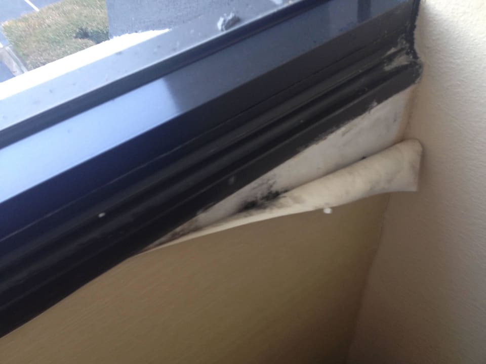 Mold Hotel Doubletree Guest Suites Raleigh Durham