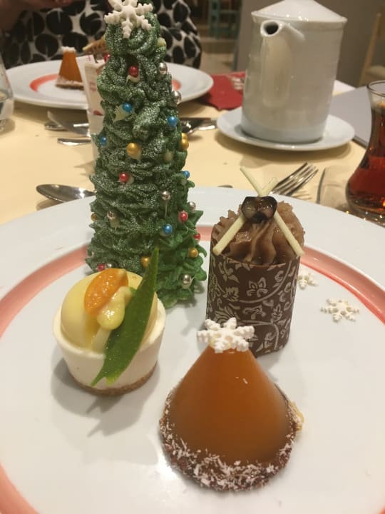 Gastro Acanthus Cennet Barut Collection