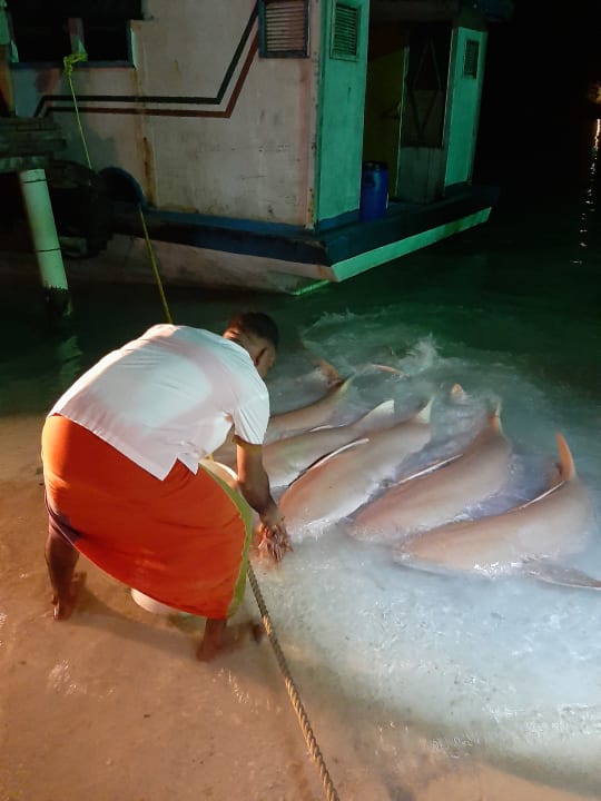 Sonstiges Filitheyo Island Resort