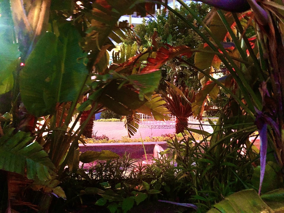 Gartenanlage Hotel Delphin Imperial