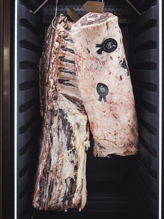 Gastro Hotel Panorama