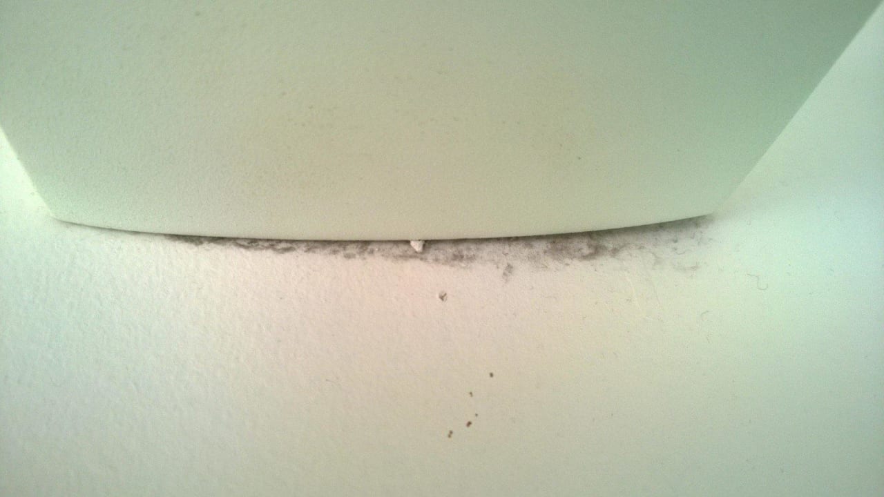 Schimmel an der Decke Hotel Prima City