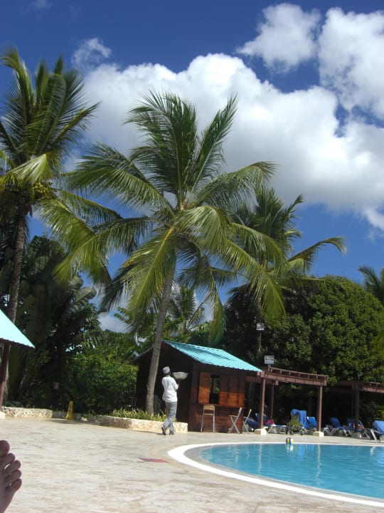 Poolanlage mit Liegestühlen Dreams La Romana Resort & Spa