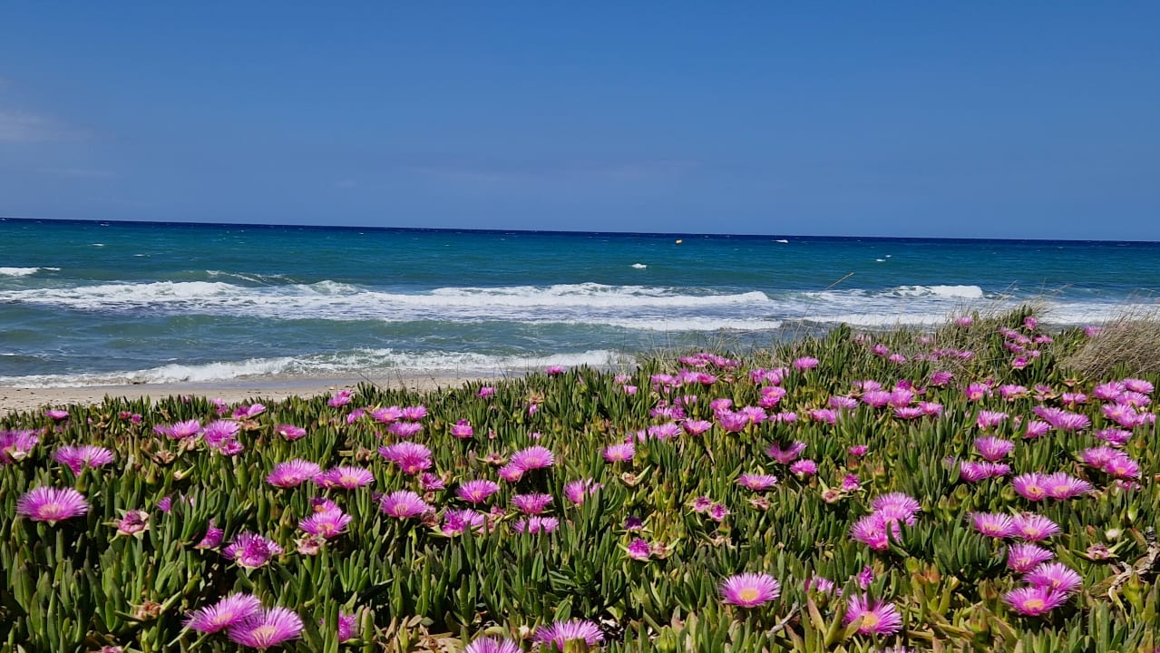 Strand Anissa Beach & Village