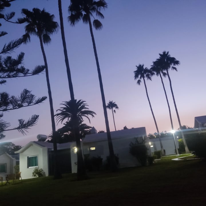 Außenansicht Canary Garden Club