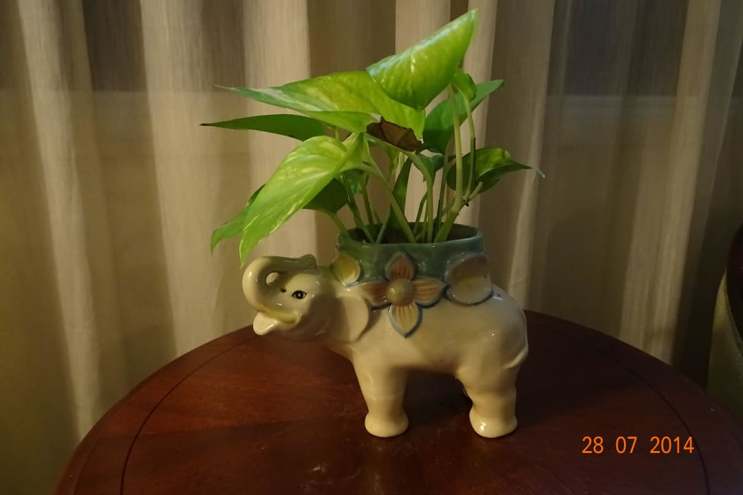 Nette Blumenvase im Zimmer Hotel Majapahit Surabaya