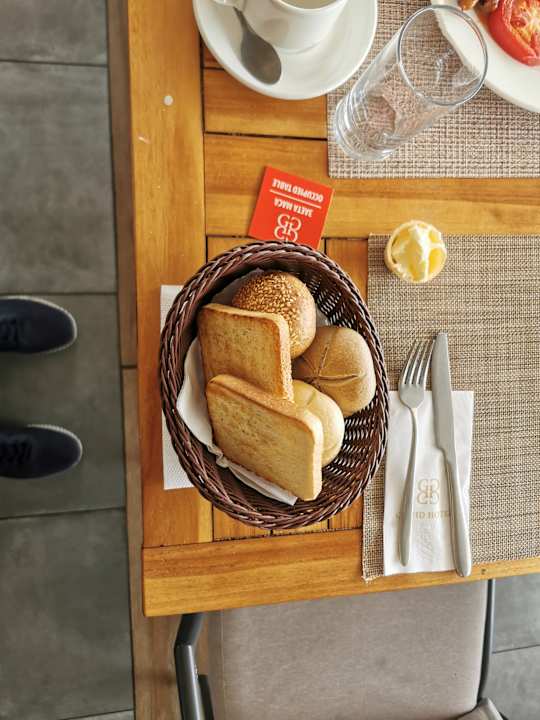 Gastro GRIFID Vistamar