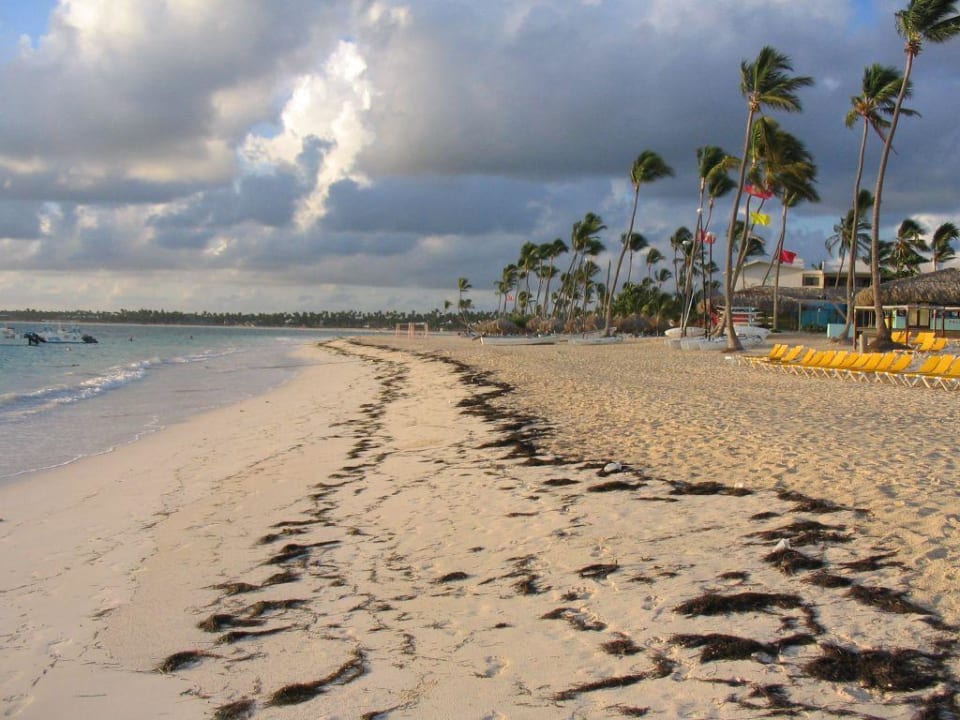 Strand Ocean Blue & Sand
