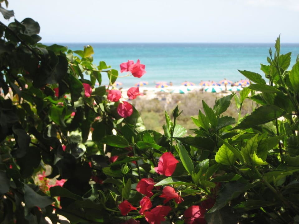 Hotel Sunrise Taro Beach SBH Hotel Taro Beach