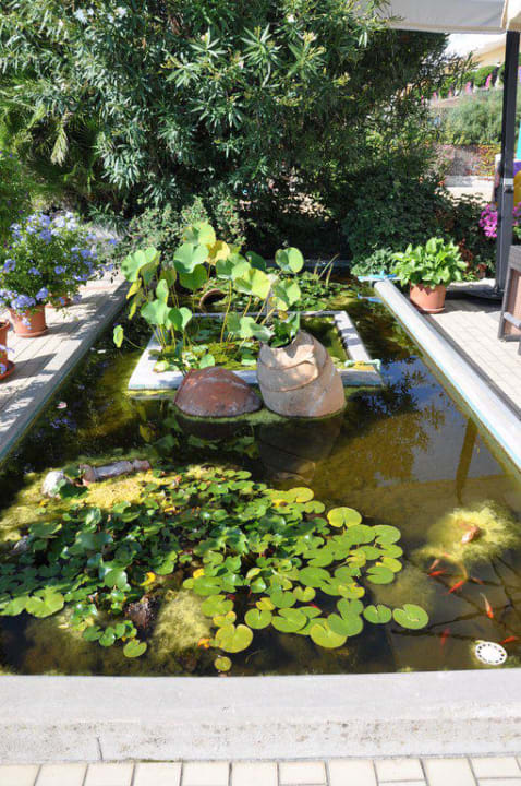 Zierteich Hotel Sirenetta