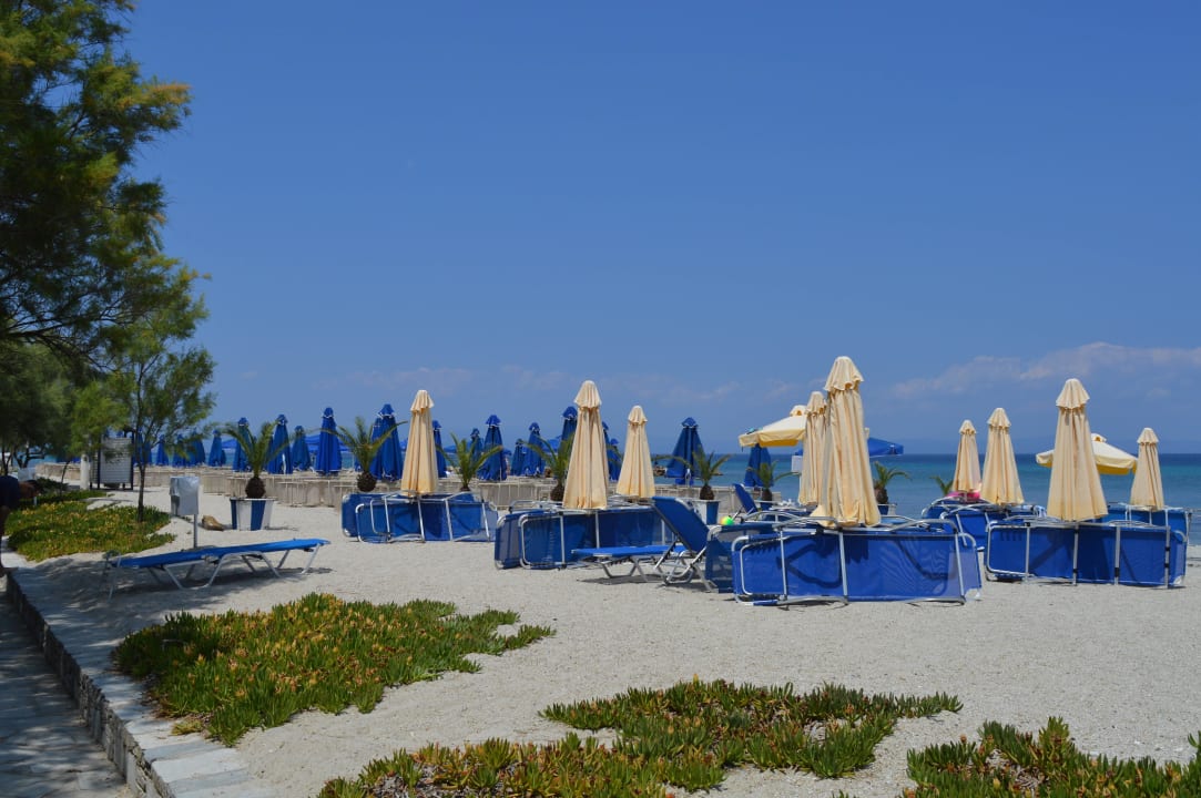 Plaża Hotel Athos Palace