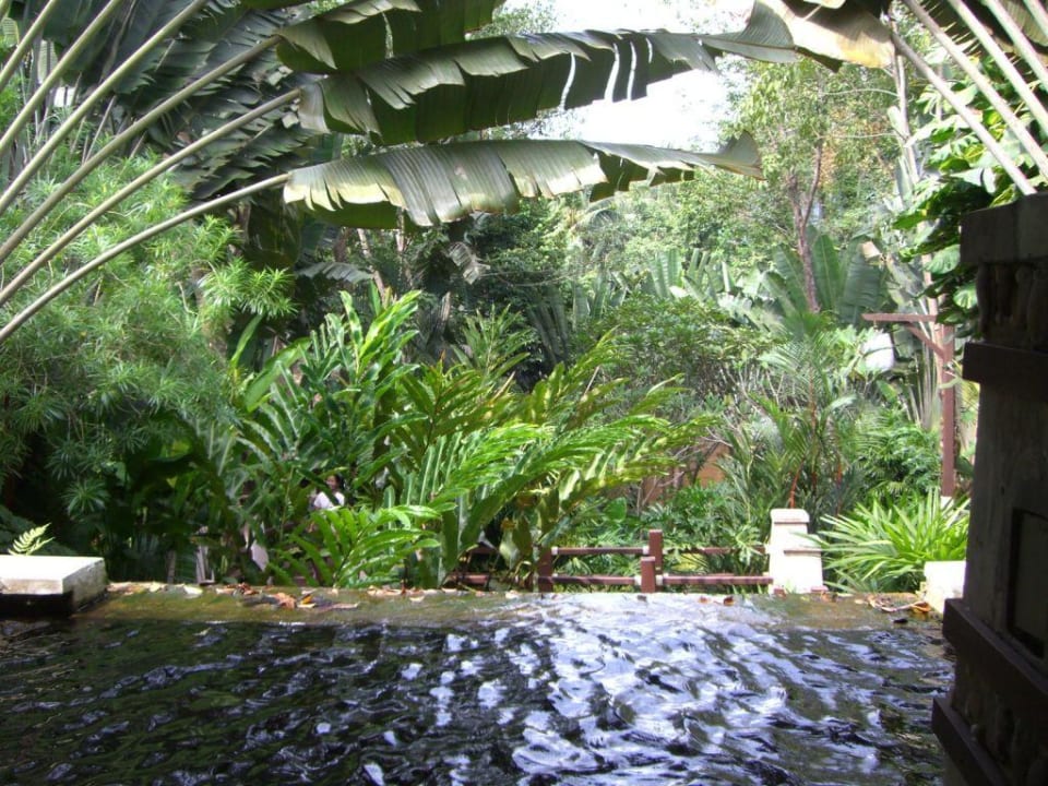 Spa-Bereich inmitten des tropischen Urwaldes Hotel Pimalai Resort & Spa