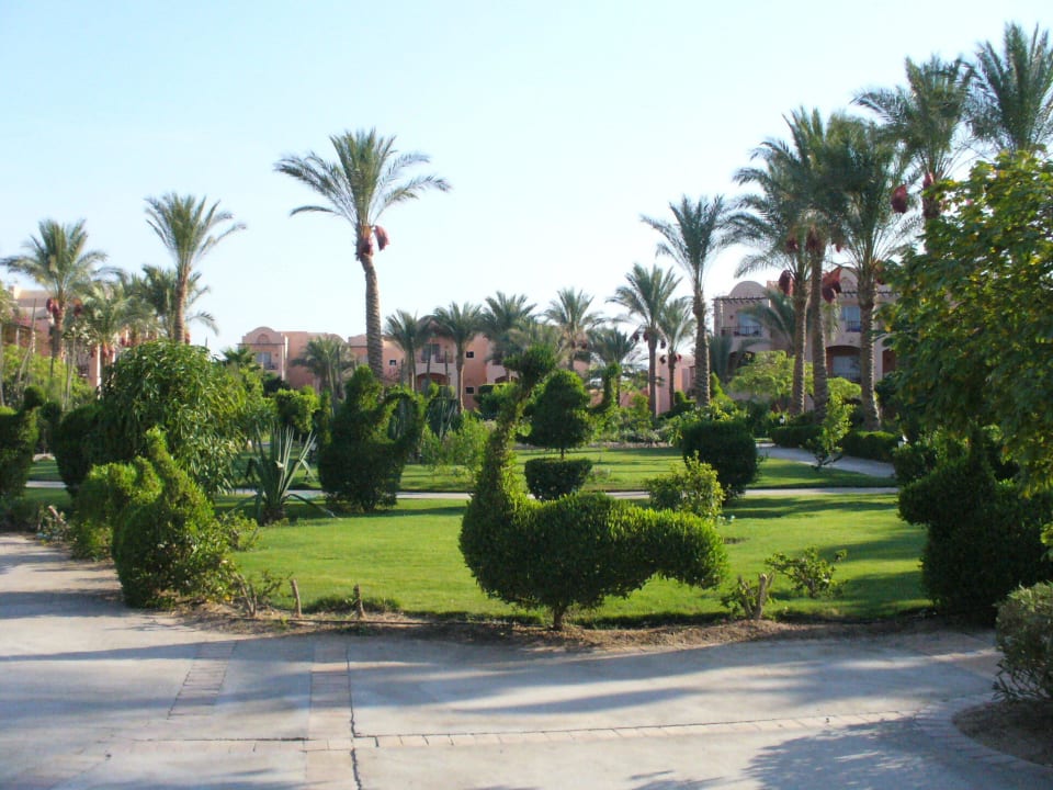 Namiastka dużego ogrodu Jaz Makadi Oasis Resort