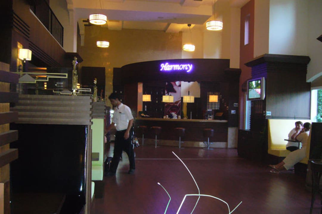 Cafe Papillon Ayscha