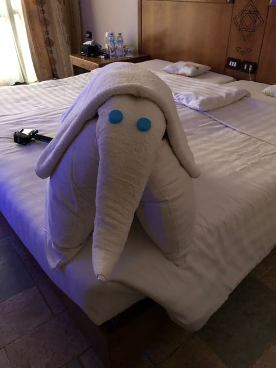 Zimmer Three Corners Equinox Beach Resort