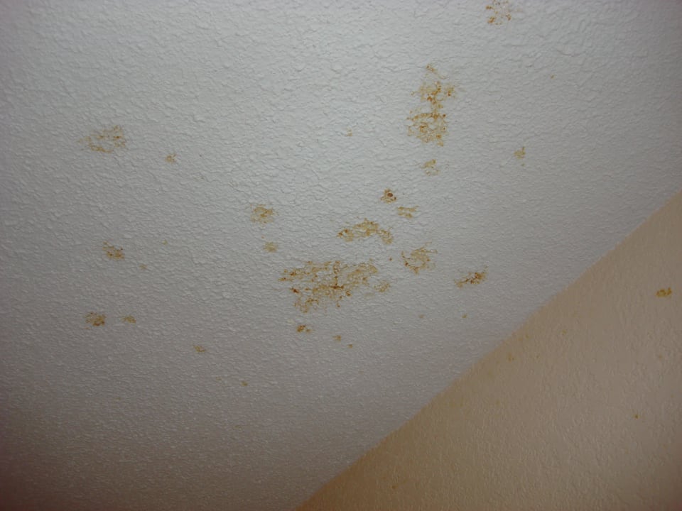 Stain on ceiling Midpointe Hotel by Rosen Hotels & Resorts