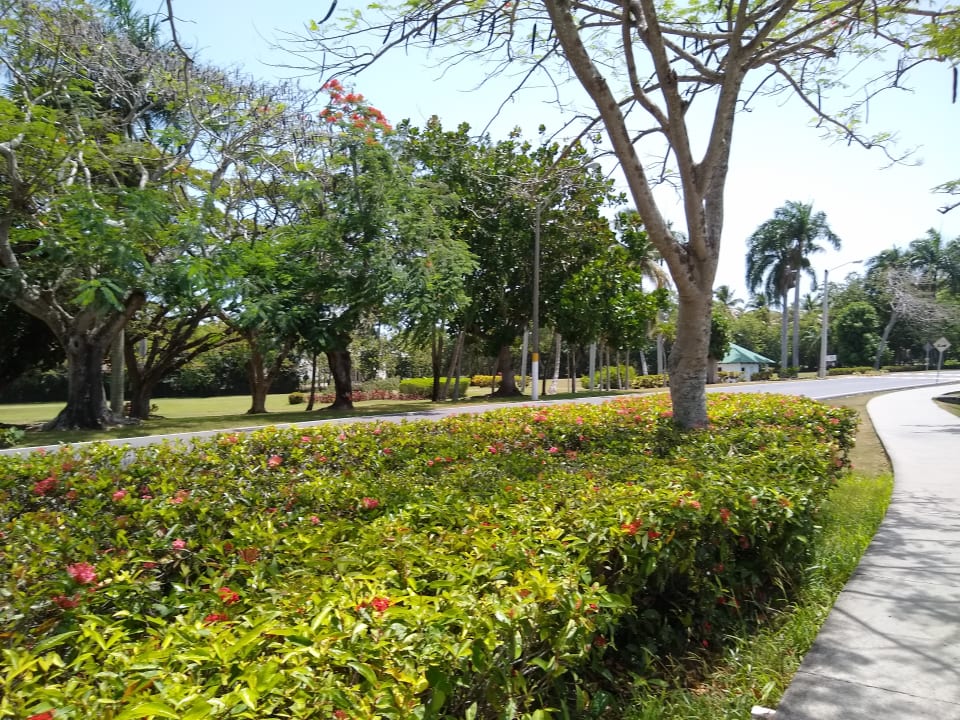 Gartenanlage Grand Paradise Playa Dorada