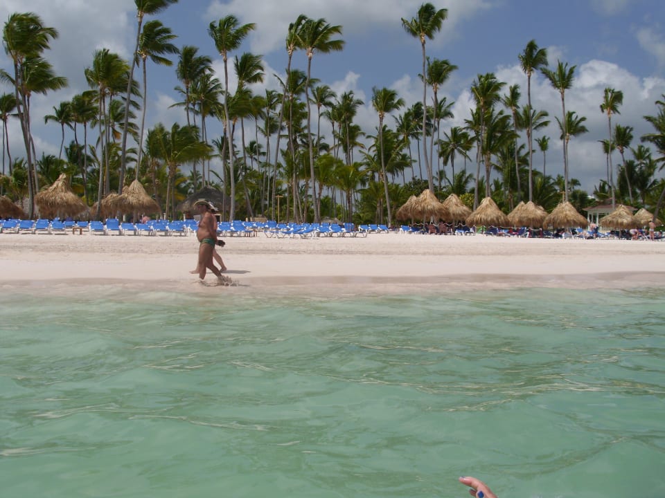 Blick vom Wasser in Richtung Gartenanlage Meliá Caribe Beach Resort-All Inclusive