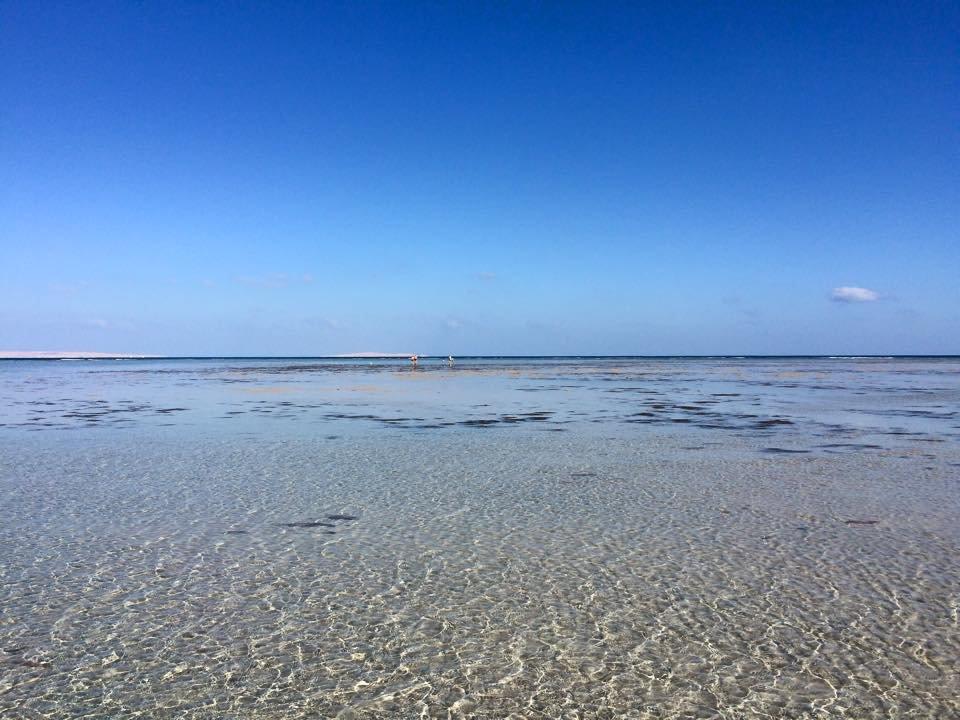 Das Meer bei Ebbe JAZ Aquamarine Resort