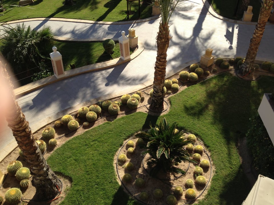 Albatros Palace Resort Pickalbatros Palace Resort