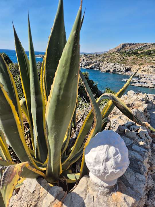 Strand Hotel Kalithea Horizon Royal