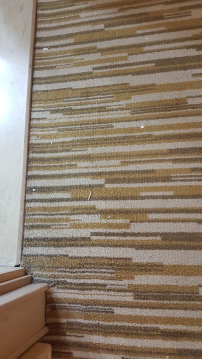 In 2 Wochen nur 1 mal gesaugt ekelhaft  Salamis Bay Conti Resort Hotel & Casino