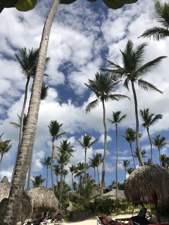 Strand Grand Palladium Select Bávaro Resort & Spa