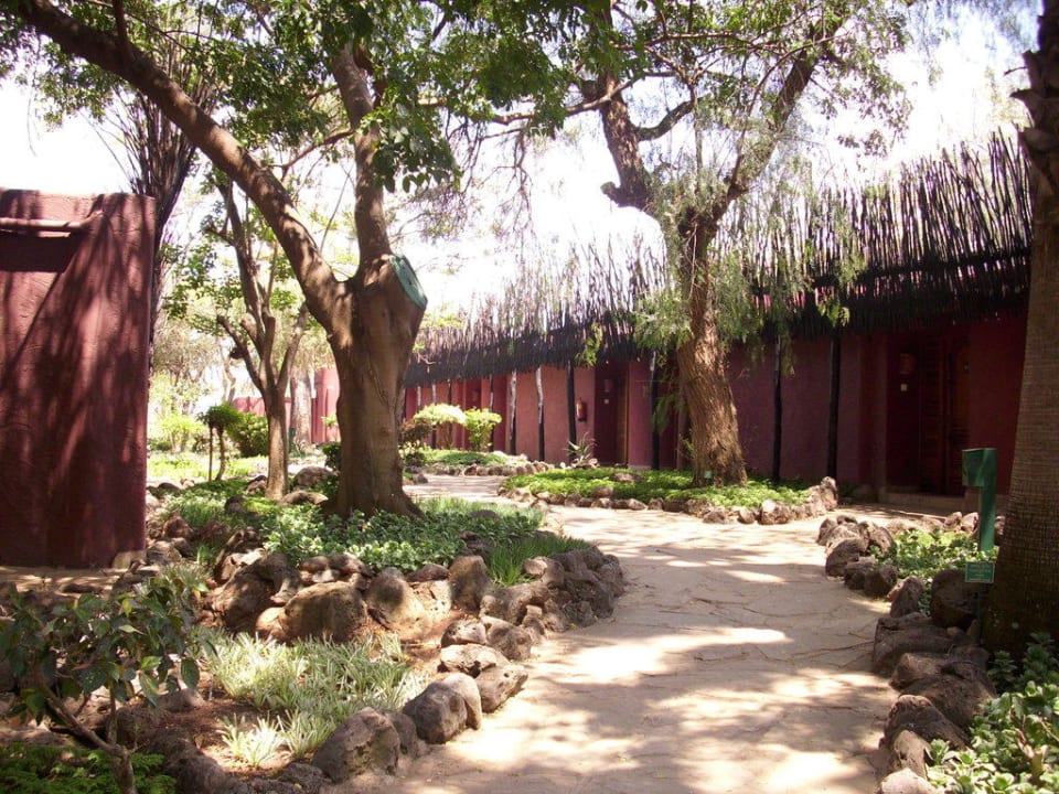 Gartenanlage vor den Bungalows Amboseli Serena Safari Lodge