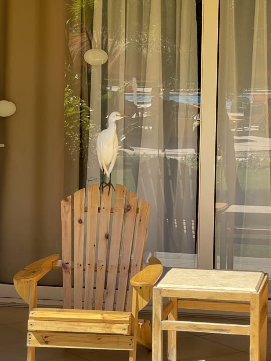 Zimmer Sentido Caribbean World Soma Bay