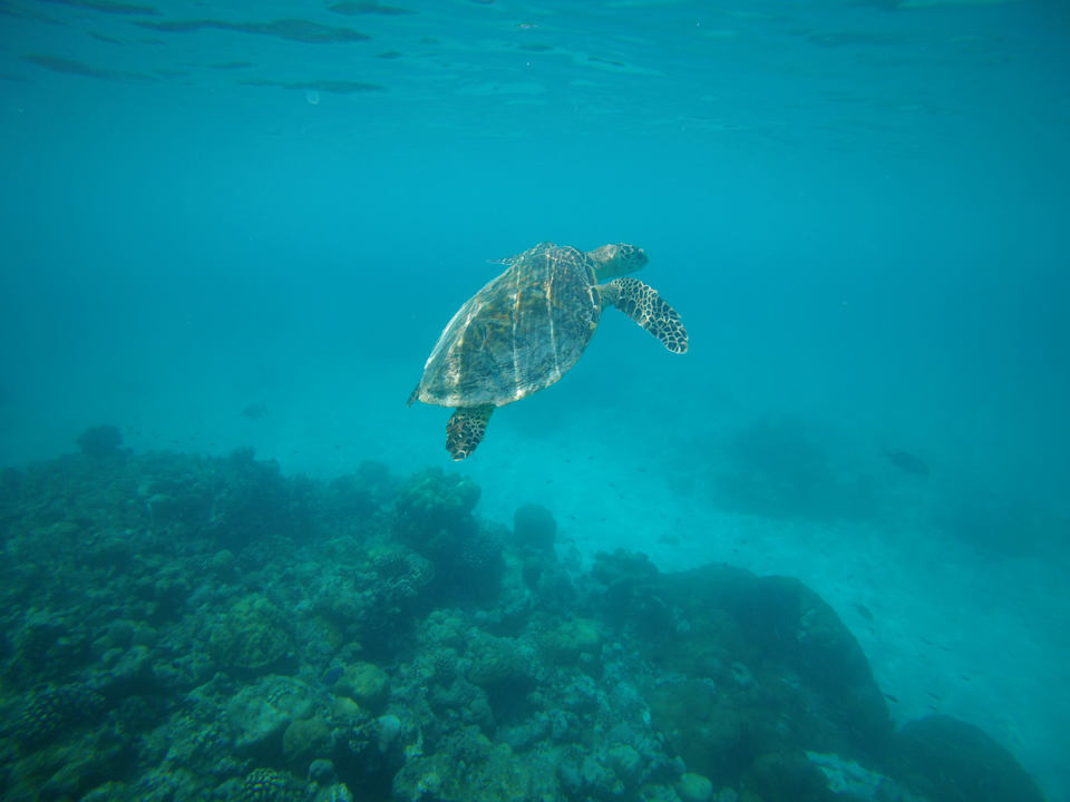 Strand NH Collection Maldives Reethi Resort