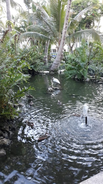 Gartenanlage Grand Palladium Select Bávaro Resort & Spa