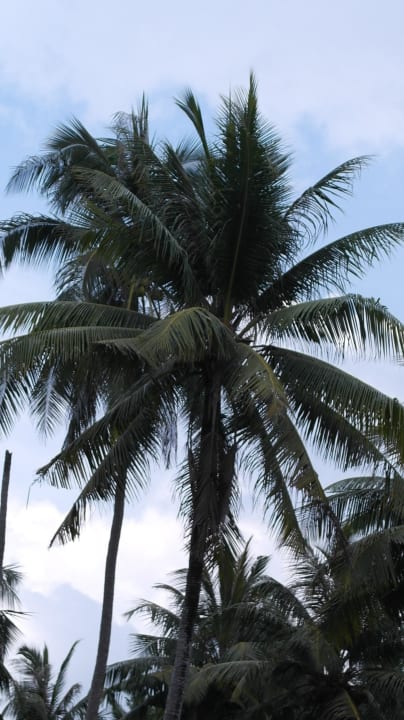 Palme The Sands Khao Lak by Katathani