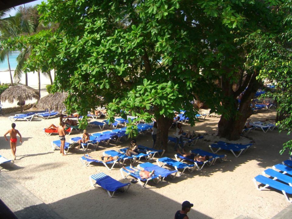 Der "Privatstrand" von oben BelleVue Dominican Bay