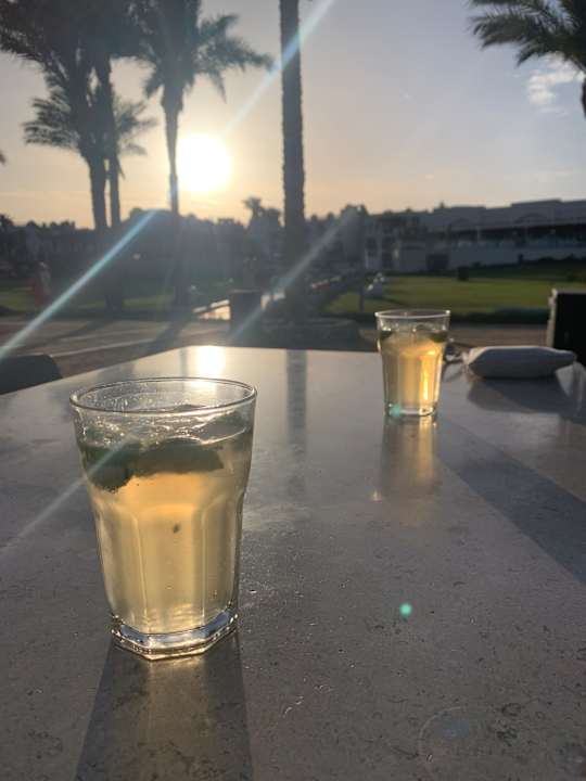 Strand Pickalbatros Palace Hotel-Port Ghalib