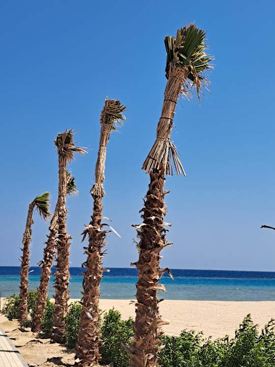 Außenansicht SUNRISE Anjum Resort Marsa Alam