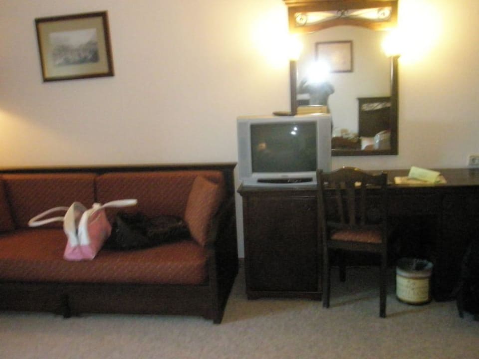 Sofa und Fernsehr Papillon Belvil