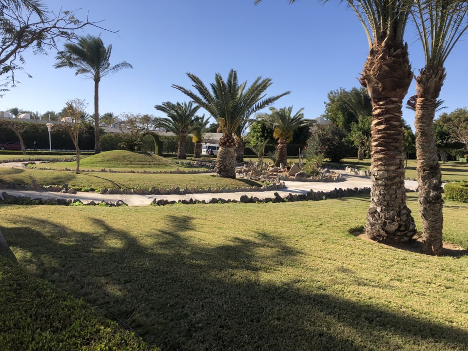 Gartenanlage Desert Rose