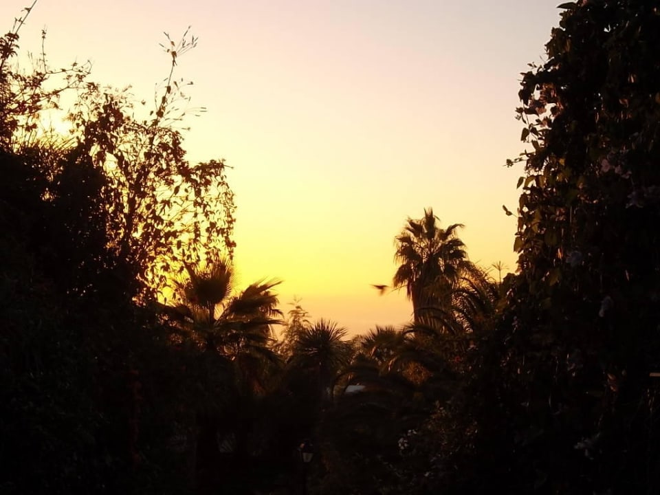 Exotische Bepflanzung La Palma Jardin