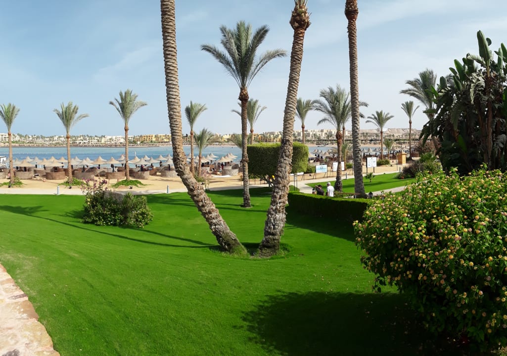 Gartenanlage Steigenberger Coraya Beach - Adults only