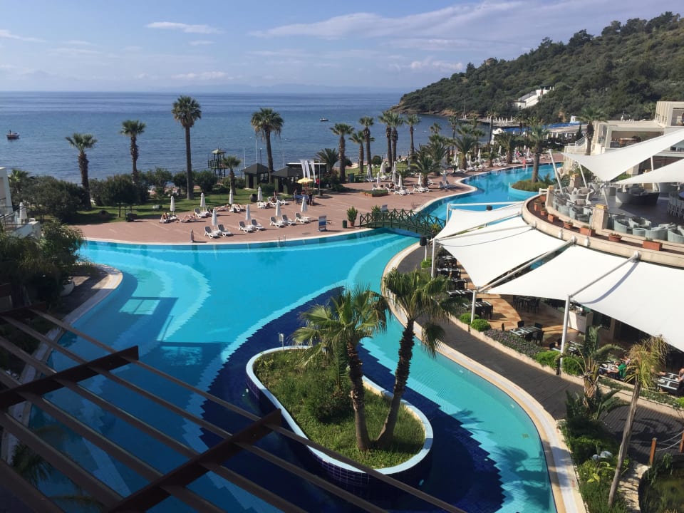 Pool vom Zimmer aus Paloma Pasha